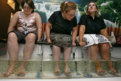 Lao đao nghề nail ở Mỹ ảnh 3