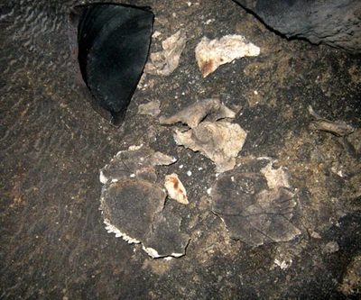 Động xương người: Những câu hỏi chưa có lời giải đáp ảnh 2