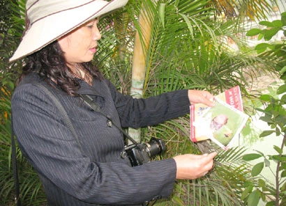 Rùa mai mềm chết ở hồ Hoàn Kiếm không cùng loài với “Cụ Rùa“ ảnh 4 Rùa mai mềm chết ở hồ Hoàn Kiếm không cùng loài với “Cụ Rùa“ ảnh 4