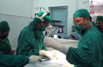 Rắc rối "thắt - tháo" ống dẫn tinh ảnh 1