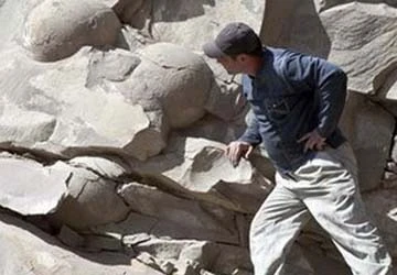 Tìm thấy một ổ trứng khủng long lớn nhất thế giới ảnh 1