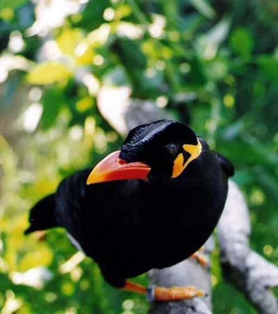 Những lý do ly hôn lạ lùng nhất ảnh 8