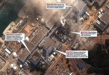 Thế giới hoảng sợ phóng xạ ở Nhật ảnh 1