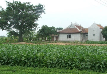 Tản mạn sông quê ảnh 2