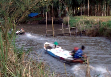 Ùn ùn nhập lậu đường cát Thái Lan ảnh 1