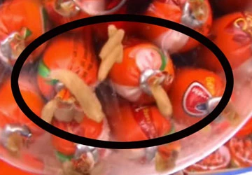 Đồng Nai: Phát hiện lô hàng xúc xích có giòi ảnh 1