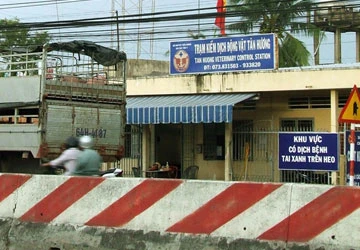 Đối phó với dịch heo tai xanh - Bài 1: Nguy cơ thiệt hại lớn về kinh tế ảnh 2 Đối phó với dịch heo tai xanh - Bài 1: Nguy cơ thiệt hại lớn về kinh tế ảnh 2