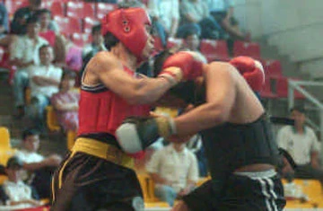 Tán thủ, một môn thi đấu khắc nghiệt và cũng lắm điều tiếng - Ảnh: Dũng Phương