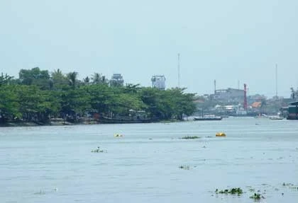 Chùm ảnh: Thông đốt hầm chui Thủ Thiêm số 1 và 2 ảnh 6