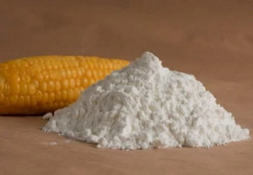 Điều chế thành công tinh bột ngô để làm tá dược ảnh 1