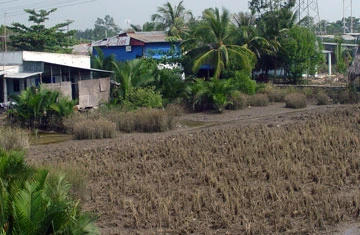 Giá đất nông nghiệp sẽ có mức tăng khác nhau tùy khu vực. Ảnh: HTD