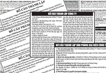 DN lúng túng với bố cáo điện tử ảnh 1