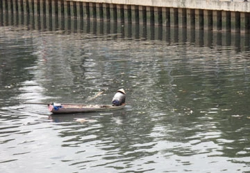 TP.HCM phải vay lại 450 triệu USD cho dự án môi trường ảnh 1