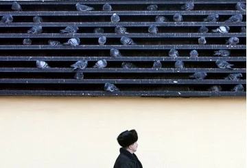 Những hình ảnh ấn tượng về mùa đông châu Âu ảnh 5