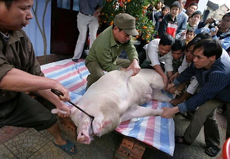 5 lễ hội không nên bỏ qua dịp đầu xuân ảnh 4