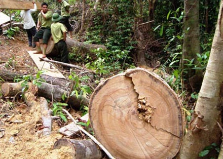 Ai bảo vệ người bảo vệ pháp luật? ảnh 1