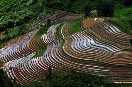 Ngắm Sapa trong vụ cấy mới ảnh 6