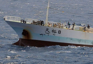 Chuyến du lịch nhớ đời ảnh 2