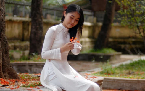 Thiếu nữ e ấp trong mùa hoa phượng ảnh 4