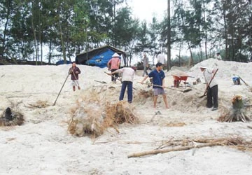 Phá rừng làm bãi nuôi tôm ảnh 1