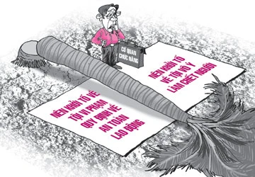 Đốn dừa gây chết người ảnh 1 Đốn dừa gây chết người ảnh 1