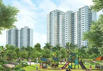 Vì sao người dân quyết liệt bám giữ đất? ảnh 2