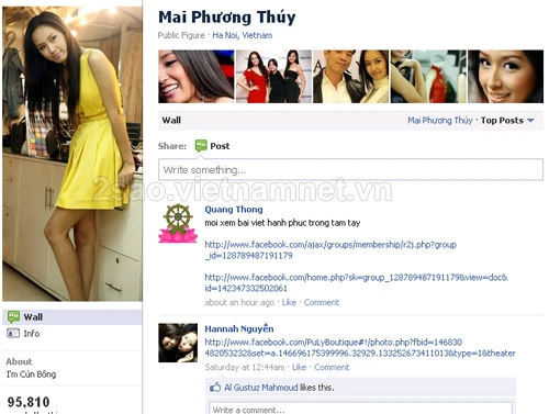 Sao Việt nào có nhiều fan nhất trên Facebook? ảnh 2