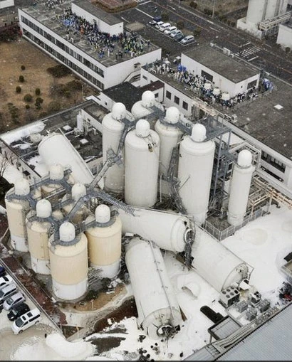 Công nhân một nhà máy bia ở Sendai ẩn nấp trên mái.