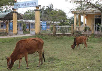 Thông tin từ bạn đọc ảnh 2