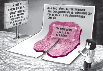 Rối chuyện tài sản riêng - chung của vợ chồng ảnh 1