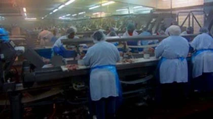 Cuộc sống bần cùng ở nơi nghèo nhất nước Mỹ ảnh 3 Cuộc sống bần cùng ở nơi nghèo nhất nước Mỹ ảnh 3