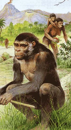 Những phát hiện xác định nguồn gốc loài người ảnh 6