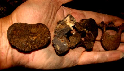 Động xương người: Những câu hỏi chưa có lời giải đáp ảnh 10