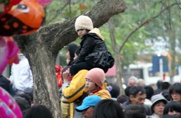 Háo hức xem cụ rùa Hồ Gươm nổi đầu năm ảnh 7