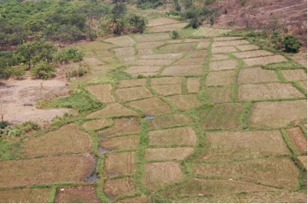 Ngắm hồ Thác Mơ từ cáp treo núi Bà Rá ảnh 8 Ngắm hồ Thác Mơ từ cáp treo núi Bà Rá ảnh 8