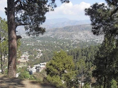 Hé lộ cuộc sống bình dị của Bin Laden trước khi bị giết ảnh 1 Hé lộ cuộc sống bình dị của Bin Laden trước khi bị giết ảnh 1