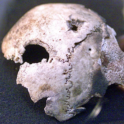 Tiết lộ động trời về cái chết của Adolf Hitler ảnh 3