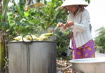 Bắp ế vì tin đồn nhảm ảnh 1