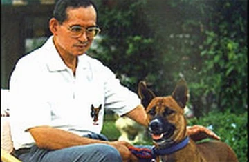 Chó sủa quá ba tiếng là phạm pháp ảnh 4