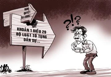 Rối trong xác định tranh chấp kinh doanh… ảnh 1