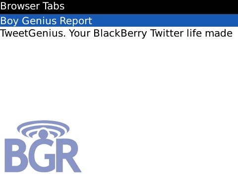 BlackBerry OS 5.0 sẽ hỗ trợ lướt web với nhiều tab ảnh 5
