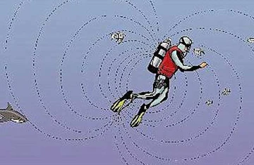 Thiết bị xua đuổi cá mập ảnh 1