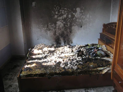 Những lời khai của bà Trần Thúy Liễu trước khi đầu thú ảnh 2