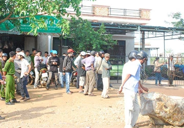 Muốn lượm cục đá cũng phải trình, xin!? ảnh 2