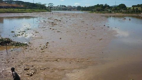 Chùm ảnh: Dân đổ xô ra hồ Xuân Hương bắt cá ảnh 3