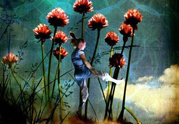 Giải mã bí ẩn của những giấc mơ ảnh 12