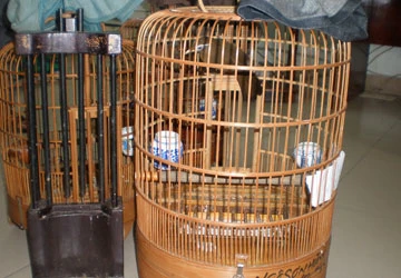 Vụ bắt độ đá chim ở Tân Bình: Hết dịch, chơi chim vẫn bị thu chim hủy ảnh 3 Vụ bắt độ đá chim ở Tân Bình: Hết dịch, chơi chim vẫn bị thu chim hủy ảnh 3