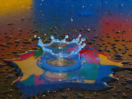 Những hình ảnh quay chậm đẹp và hài hước ảnh 12 Những hình ảnh quay chậm đẹp và hài hước ảnh 12