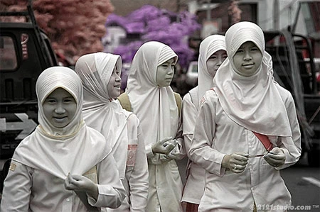 Độ tương phản màu đẹp lạ qua ảnh hồng ngoại ảnh 2