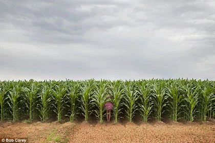 Bộ ảnh độc của người đàn ông mặc váy hồng ảnh 9